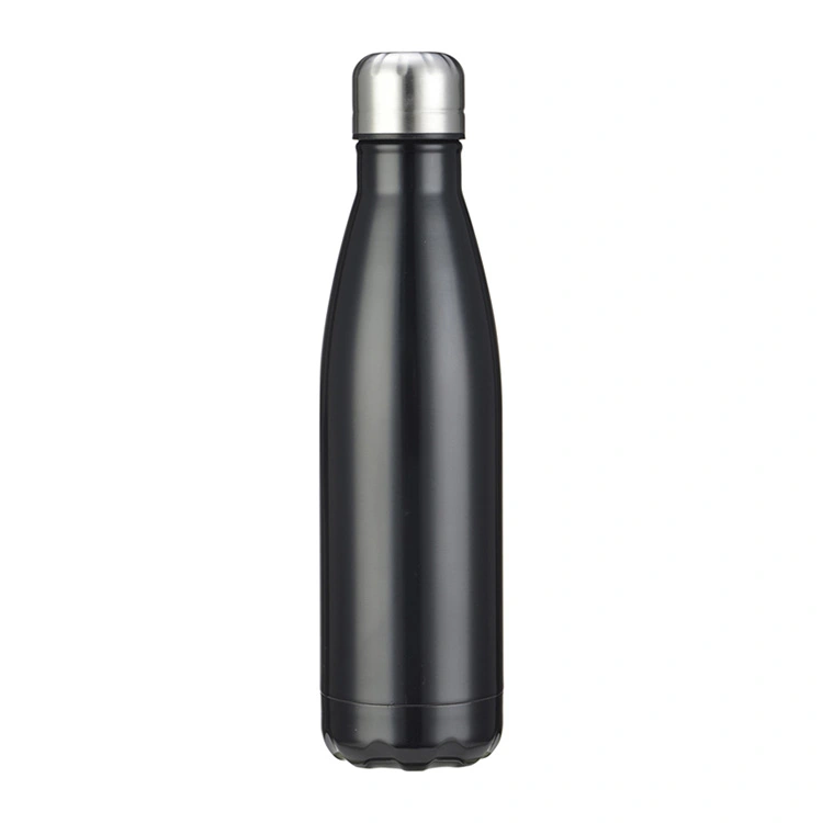 Insulated Cold Water Bottle
